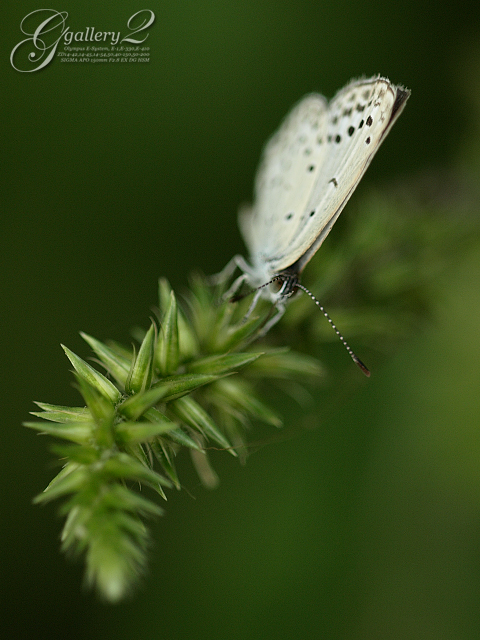 P9240839_410_150.jpg