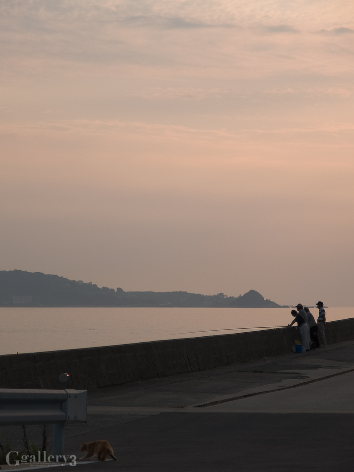 P9272253-11455.jpg