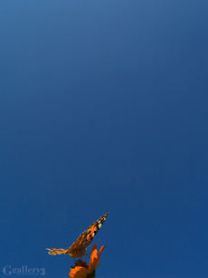 PA035979-30017m.jpg