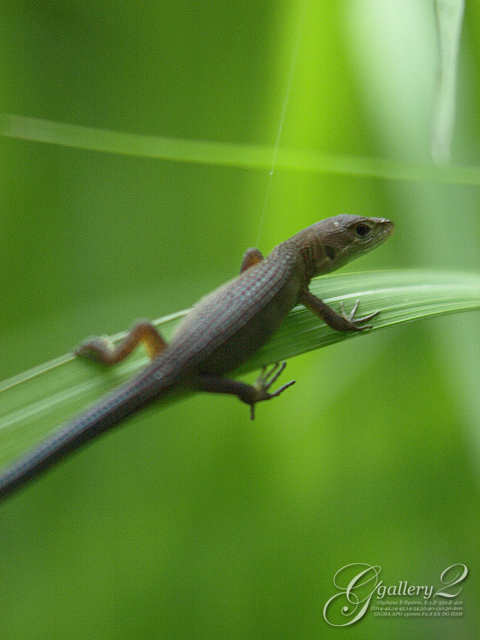 PA061065.jpg