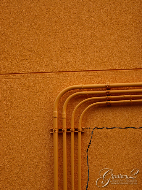 PA081337_410_150.jpg
