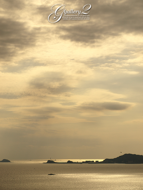 PA141396_410.jpg