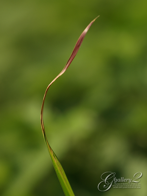 PA141456_410_150.jpg