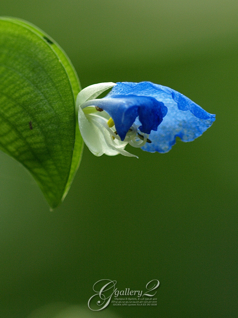 PA141468_410_150.jpg