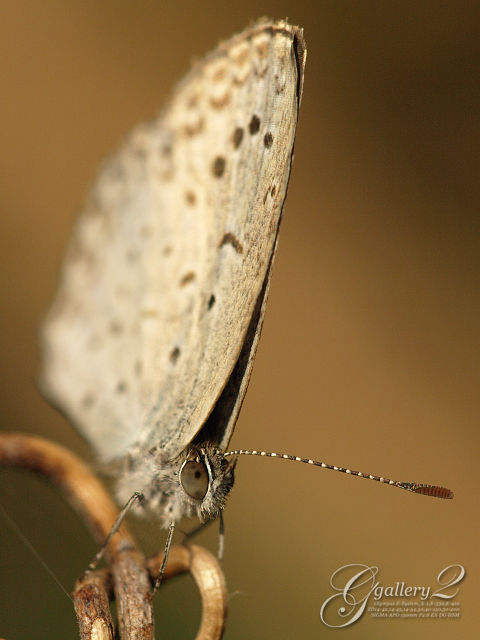 PA141606_410_150.jpg