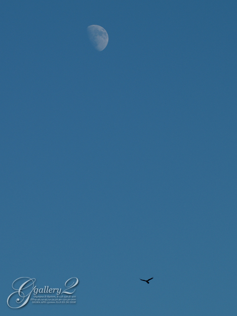 PA219424_E-1_150.jpg