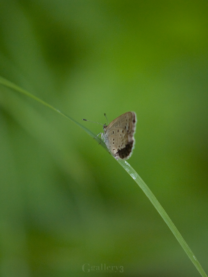 PB017437-152.jpg