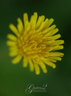 PB030077_E-1_50.jpg