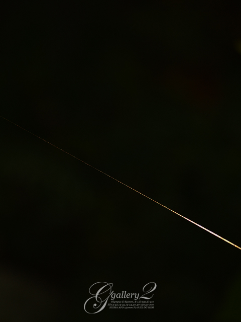 PB032288_410_150.jpg