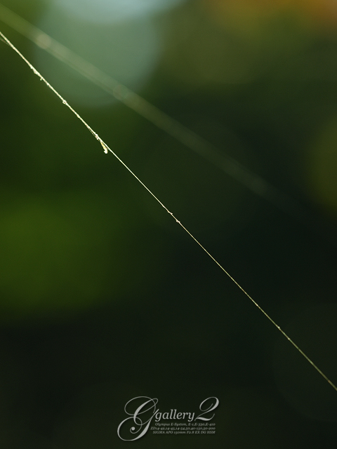 PB032304_410_150.jpg