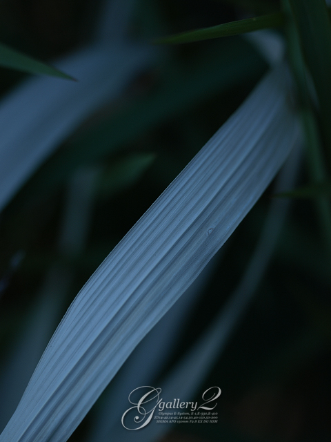 PB032505.jpg