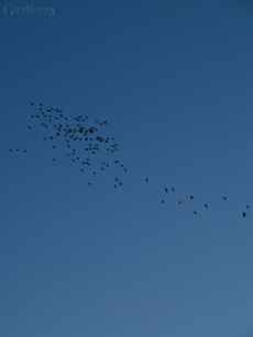 PB037539-3001456m.jpg