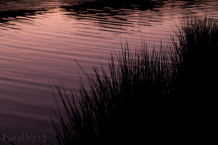 PB037611-3001454.jpg