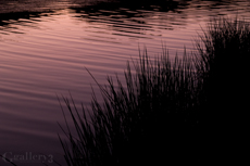 PB037611-3001454m.jpg