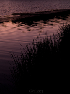 PB037613-3001455m.jpg