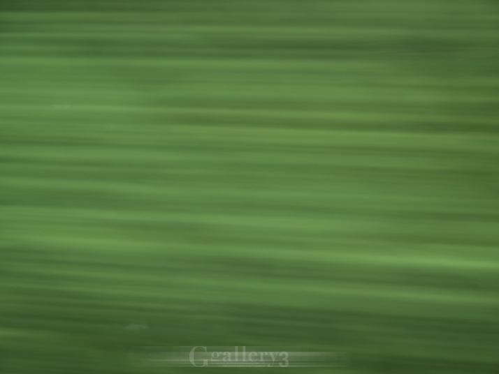 PB077758-11454.jpg