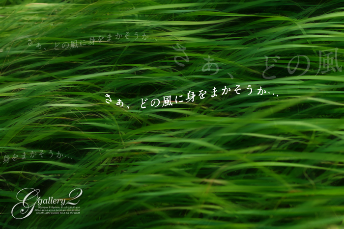 PB100034_2.jpg