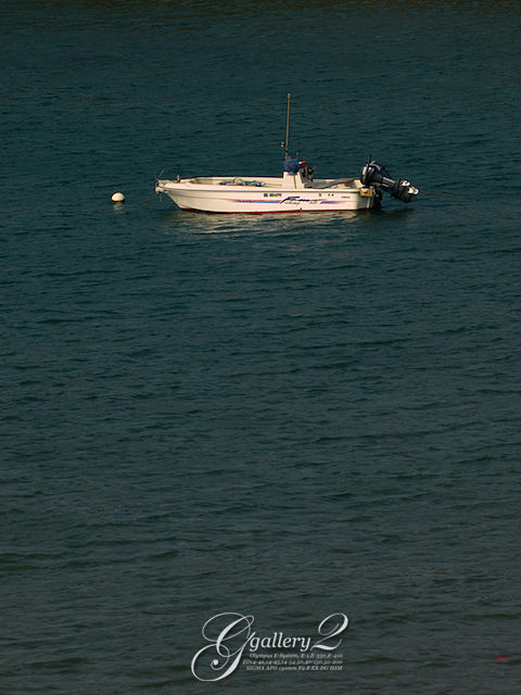 PB102573.jpg