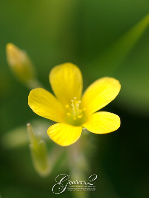 PB102579.jpg