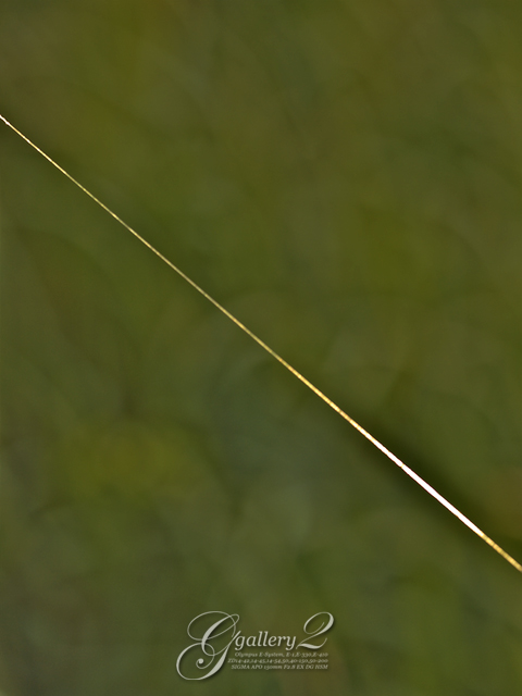 PB102715_410_150.jpg