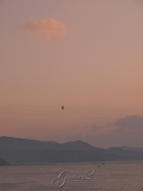 PB112966_410_14-54.jpg