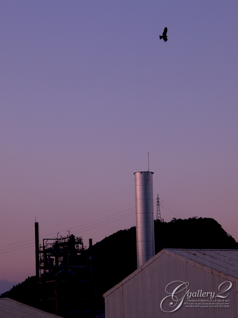 PB112974_410_14-54.jpg