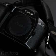 PB137940_eos-1m.jpg