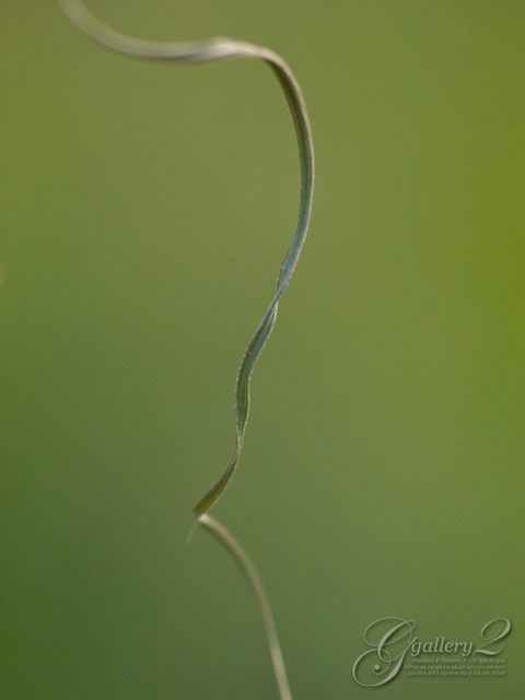PB253980_E410_150.jpg