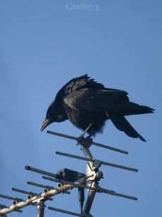 PB267873-30014527m.jpg