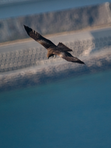 PB280074-1504m.jpg