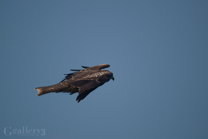PB280095-1508.jpg
