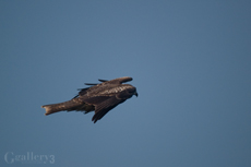 PB280095-1508m.jpg