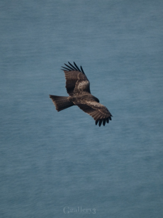 PB280101-1510m.jpg