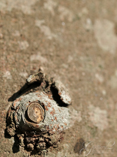 PC010256.jpg