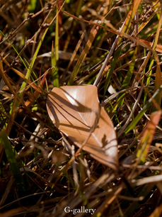 PC010400-1LR.jpg