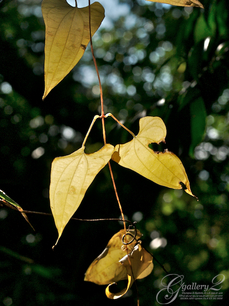 PC010464.jpg