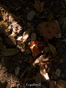 PC010610-1LR.jpg