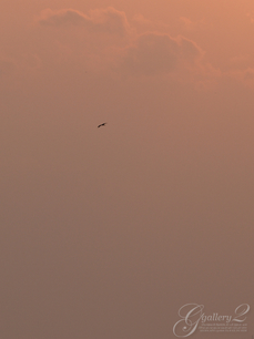 PC024434_2.jpg