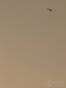PC024446.jpg