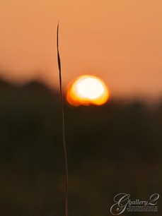 PC024464_2.jpg