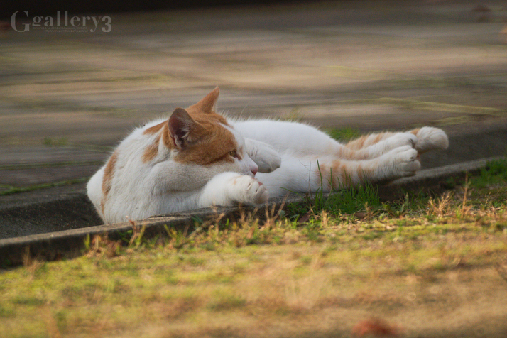 PC110252-1501.jpg