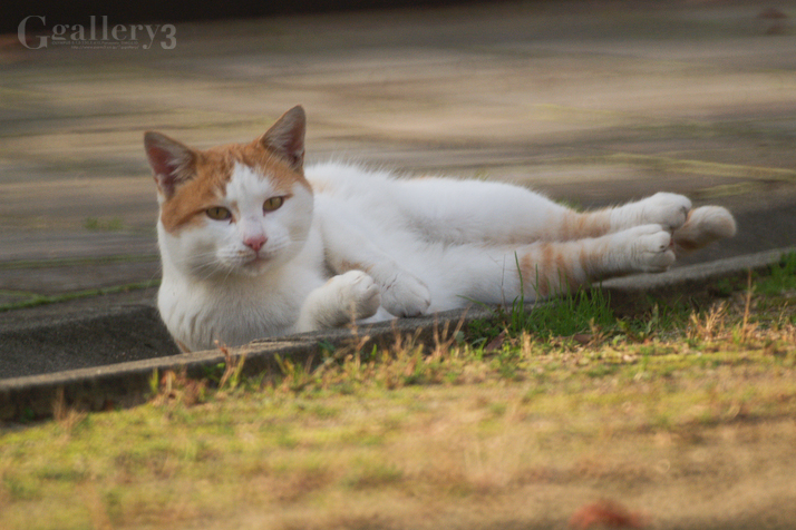 PC110254-1502.jpg