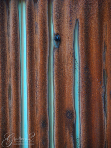 PC155205.jpg