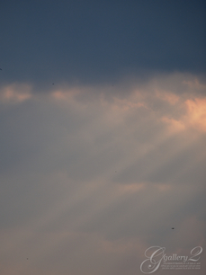 PC155207.jpg