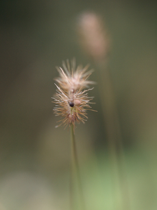 PC245609.jpg