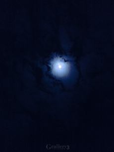 SN3J0003_2-91201m.jpg