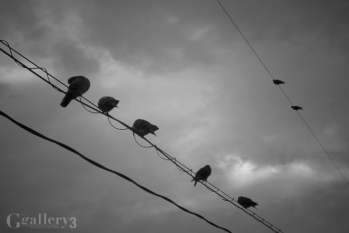 SN3J0010-1500.jpg