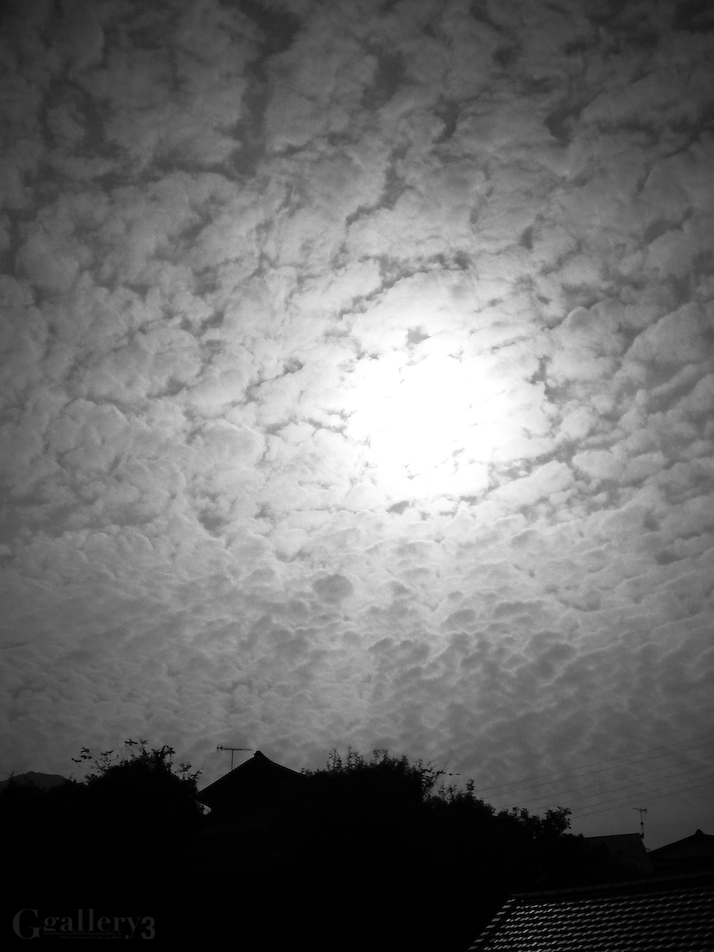 SN3J0028-1500.jpg