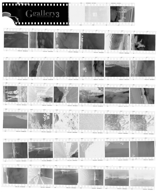 T-MAX100_001.jpg