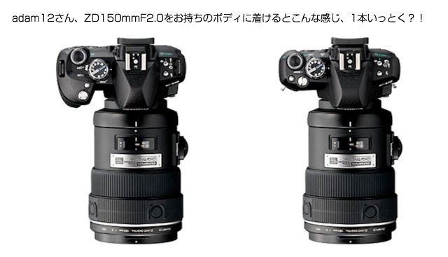 ZD150_adam12.jpg